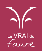 Logo Le vrai du Faune